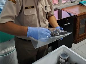 Balai Karantina Sumsel Terbangkan Vanili Kering ke Prancis