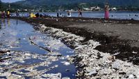 Tumpukan Sampah Cemari Pantai Manakarra
