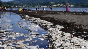 Tumpukan Sampah Cemari Pantai Manakarra