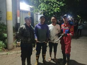 Ular Kobra Masuk Rumah Warga di Bogor, Damkar Evakuasi Ular Kobra Masuk Rumah Warga di Bogor, Damkar Evakuasi