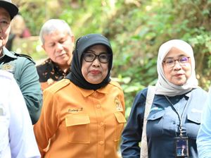 Legislator Endang Tohari Usul Hutan Kalibiru Dibuat Bak Pasar di Cianjur Legislator Endang Tohari Usul Hutan Kalibiru Dibuat Bak Pasar di Cianjur