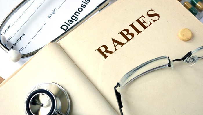 ilustrasi rabies ilustrasi rabies