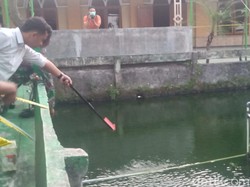 5 Fakta Ketua OSIS SMAN 1 Cawas Tewas Kesetrum di Kolam Sekolah