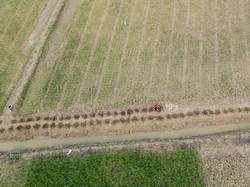 Hal-hal Penting yang Harus Ada di Dalam Surat Kontrak Sewa Tanah