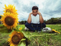 Gala Bunga Matahari dan Orang yang Pernah Ditinggalkan