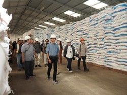 Dewan Komisaris Pusri Pastikan Distribusi Pupuk Tak Terganggu