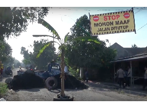 Warga Demo Tanam Pohon Pisang di Jalan Rusak Lumajang
