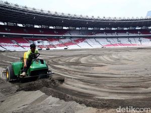 Melihat Progres Revitalisasi Rumput Stadion GBK