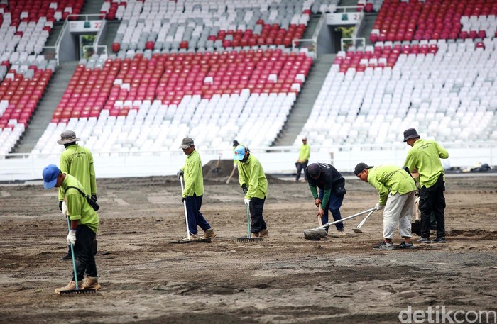 Revitalisasi rumput sedang dilakukan di Stadion Gelora Bung Karno di Jakarta, Rabu (10/7/2024). Revitalisasi ditargetkan rampung pada akhir Oktober 2024.