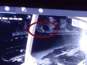 Pria Pemilik Koper Misterius Dikira Bom di Puri Penarungan Terekam CCTV Pria Pemilik Koper Misterius Dikira Bom di Puri Penarungan Terekam CCTV