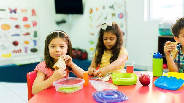 25 Ide Menu Bekal Anak TK yang Sehat dan Sederhana Dibuat