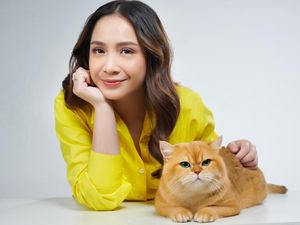 Nagita Slavina Punya 5 Kucing Sultan, Ada yang dari Rusia Harganya Fantastis