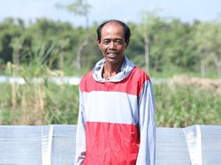 Cerita Paino, Sukses Jadi Petani Tembakau Hingga Kuliahkan Anak