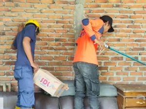 Rumah di Lubuklinggau Kemasukan Kobra, Warga Kaget Ular Berdiri-Berdesis Rumah di Lubuklinggau Kemasukan Kobra, Warga Kaget Ular Berdiri-Berdesis