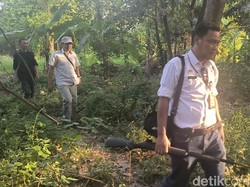 Ada 2-3 Monyet Liar Berkeliaran di Pohon-Masuk Rumah Warga Driyorejo Gresik