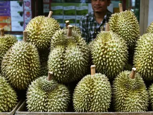 Kacau! Gegara Durian, 5 Insiden Ini Bikin Orang Jatuh Sakit