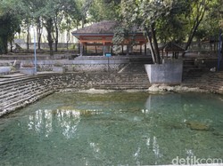 Kisah Mistis Sendang Tawun Ngawi, Bikin Enteng Jodoh, Habitat Bulus Jelmaan
