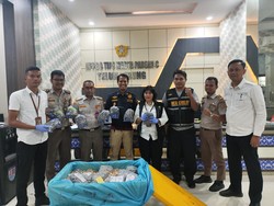 156 Ekor Belangkas Diamankan saat Hendak Diselundupkan ke Malaysia
