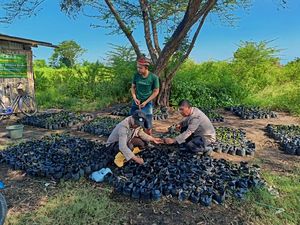 Binmas Menyala, Upaya Lestarikan Lingkungan-Sejahterakan Nelayan Probolinggo Binmas Menyala, Upaya Lestarikan Lingkungan-Sejahterakan Nelayan Probolinggo