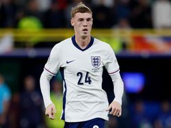 Palmer Ingin Inggris Segera Bangkit Usai Gagal Juara di Euro 2024