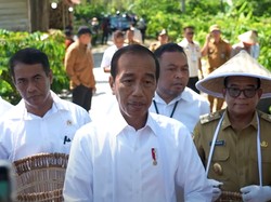 Pasokan Pupuk ke Petani Diklaim Aman, Jokowi: Subsidinya Naik Dua Kali Lipat!