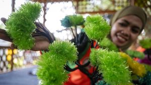 Limbah Plastik Disulap Jadi Tanaman Hias Cantik