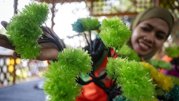 Limbah Plastik Disulap Jadi Tanaman Hias Cantik