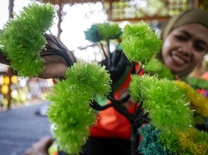 Limbah Plastik Disulap Jadi Tanaman Hias Cantik Limbah Plastik Disulap Jadi Tanaman Hias Cantik