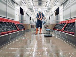 Soal Tarif KRL Naik atau Tidak Tahun Depan Tergantung Prabowo Soal Tarif KRL Naik atau Tidak Tahun Depan Tergantung Prabowo