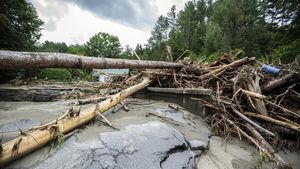 Penampakan Sisa-sisa Kerusakan Akibat Badai Beryl di Vermont