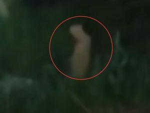 Heboh Sosok Pocong di Kuburan China Parepare, Ini Kesaksian Penjaga Makam