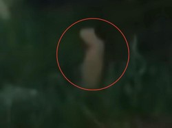 Heboh Penampakan Pocong Diduga Orang Iseng di Parepare, Lurah Selidiki