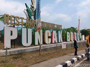 Pengakuan Pedagang Puncak: Banyak Pembeli Trauma Kena Getok Harga