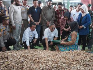 Mendag Lepas Ekspor Pinang Jambi ke Arab Saudi-Bangladesh Mendag Lepas Ekspor Pinang Jambi ke Arab Saudi-Bangladesh