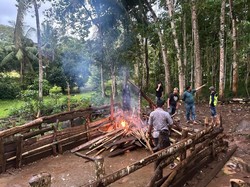 Polisi Bakar 2 Arena Judi Sabung Ayam di Tengah Kebun di Kajang Bulukumba
