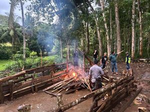 Polisi Bakar 2 Arena Judi Sabung Ayam di Tengah Kebun di Kajang Bulukumba Polisi Bakar 2 Arena Judi Sabung Ayam di Tengah Kebun di Kajang Bulukumba
