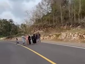 Viral Rombongan Nekat Foto di Tengah JJLS Gunungkidul hingga Nyaris Tertabrak