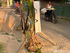 Warga Prigen Tanami Pisang Jalur Penghubung Kecamatan gegara Jalan Rusak Warga Prigen Tanami Pisang Jalur Penghubung Kecamatan gegara Jalan Rusak