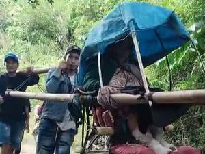 Lansia Luka Bakar di Mamuju Ditandu 28 Km ke Puskesmas gegara Jalan Rusak