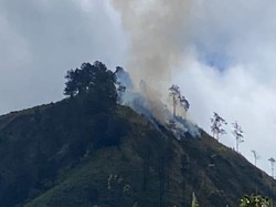 4 Hektare Area Kemah Bukit Gedong Sembalun Terbakar, Diduga Ulah Pendaki