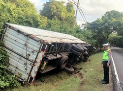 Hindari Bus Nyalip, Truk Boks Masuk Parit di Jalan Denpasar-Gilimanuk