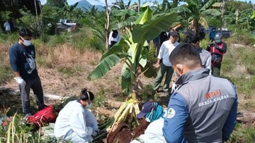 Orang Utan Mati di Kalbar Ditemukan Mati dengan Luka Akibat Benda Tajam