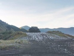 Embun Upas Selimuti Bromo, Simak Waktu Kemunculannya