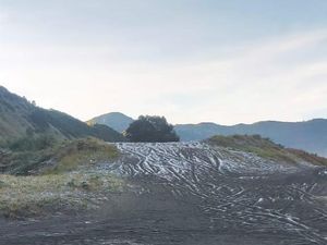 Embun Upas Selimuti Bromo, Simak Waktu Kemunculannya Embun Upas Selimuti Bromo, Simak Waktu Kemunculannya