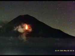 Gunung Semeru Erupsi, Luncurkan 50 Kali Guguran Lava Pijar Sejauh 1 Km
