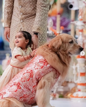 Happy, Anjing Keluarga Ambani yang Curi Atensi di Pernikahan Anant-Radhika