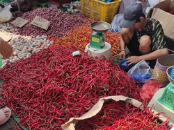 Harga Cabai Rawit di Palembang Tembus Rp 70.000 Per Kilogram