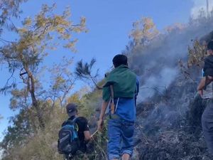 4 Hektare Lahan di Bukit Gedong Terbakar, Penyebabnya Kompor Meledak 4 Hektare Lahan di Bukit Gedong Terbakar, Penyebabnya Kompor Meledak