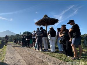 Ngopi Seru di Pinggir Sawah Bonus Pemandangan Gunung ala Nyarik Kopi Tabanan Ngopi Seru di Pinggir Sawah Bonus Pemandangan Gunung ala Nyarik Kopi Tabanan