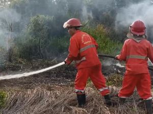 Pasca Penetapan Siaga Darurat Karhutla, Lahan di Ogan Ilir Terbakar